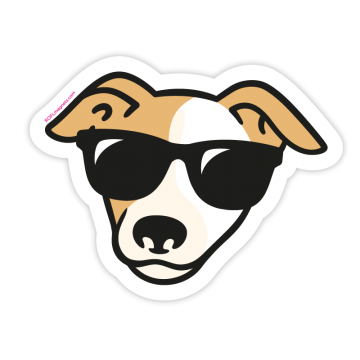 Dog with sunglasses