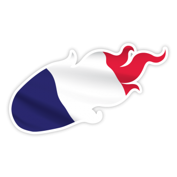 Zündende Flagge FR